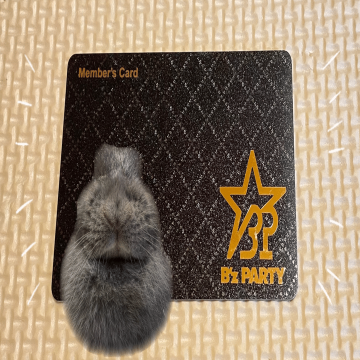 B'z PARTY（ファンクラブ）とは？｜げーらびーず