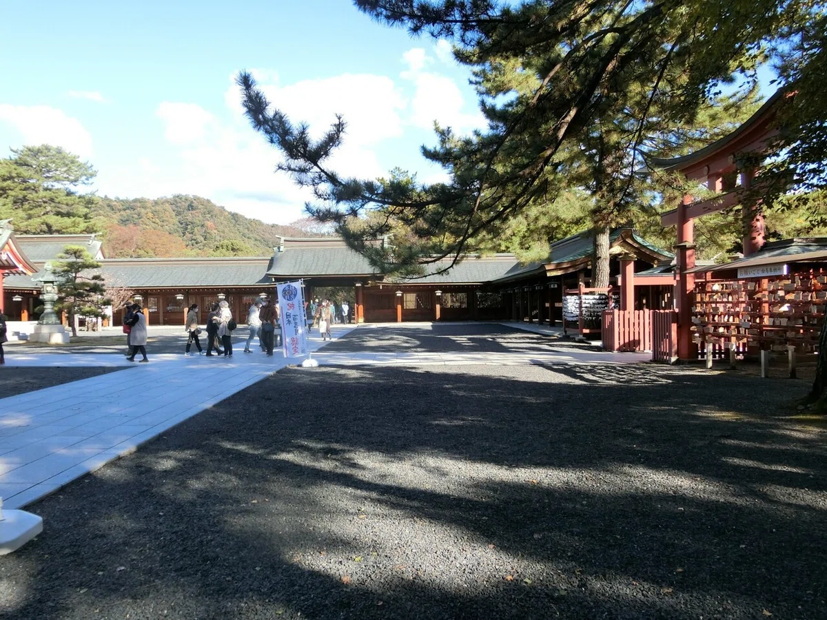 画像8