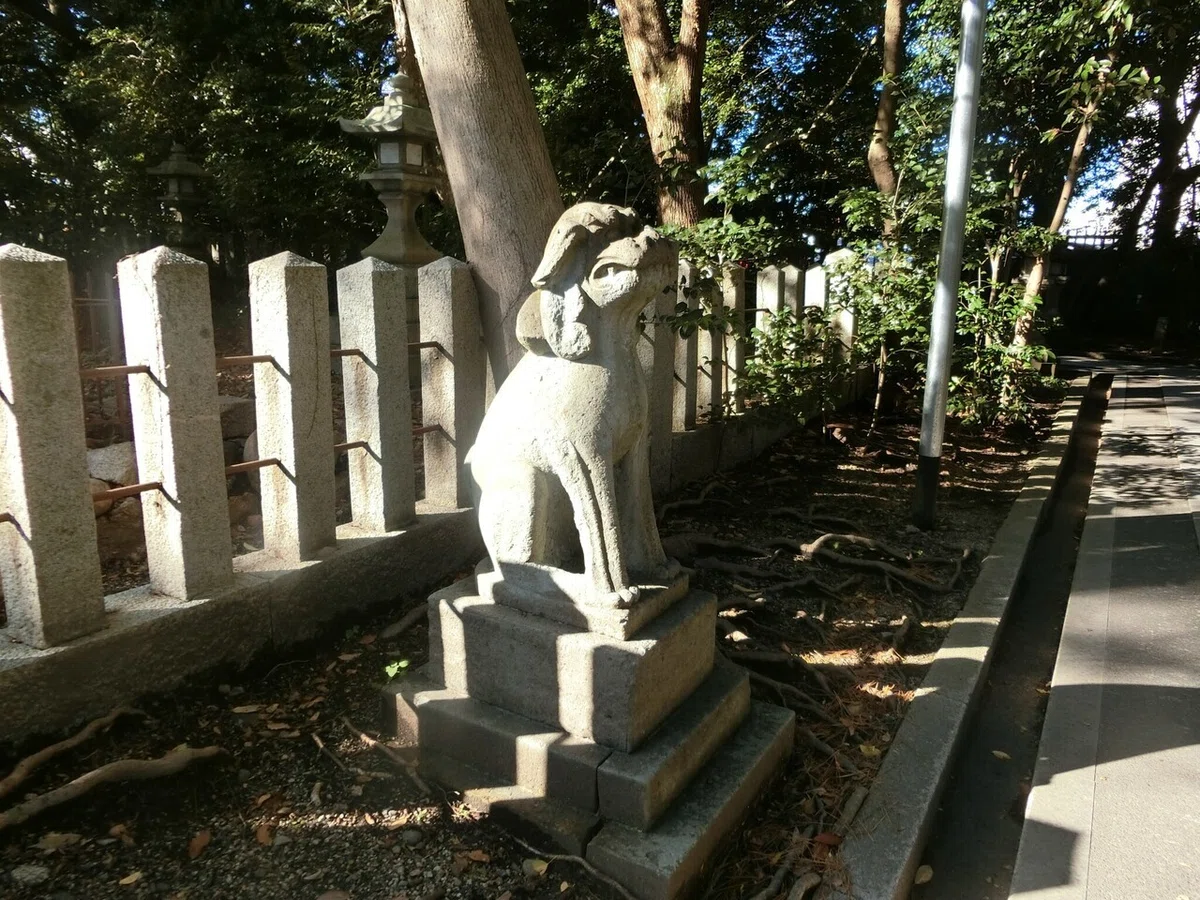 画像25
