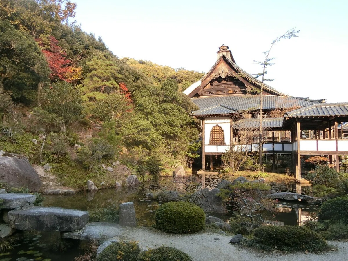 画像51