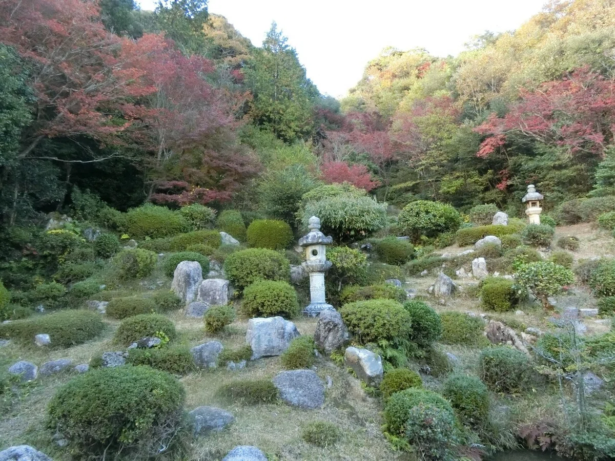 画像52