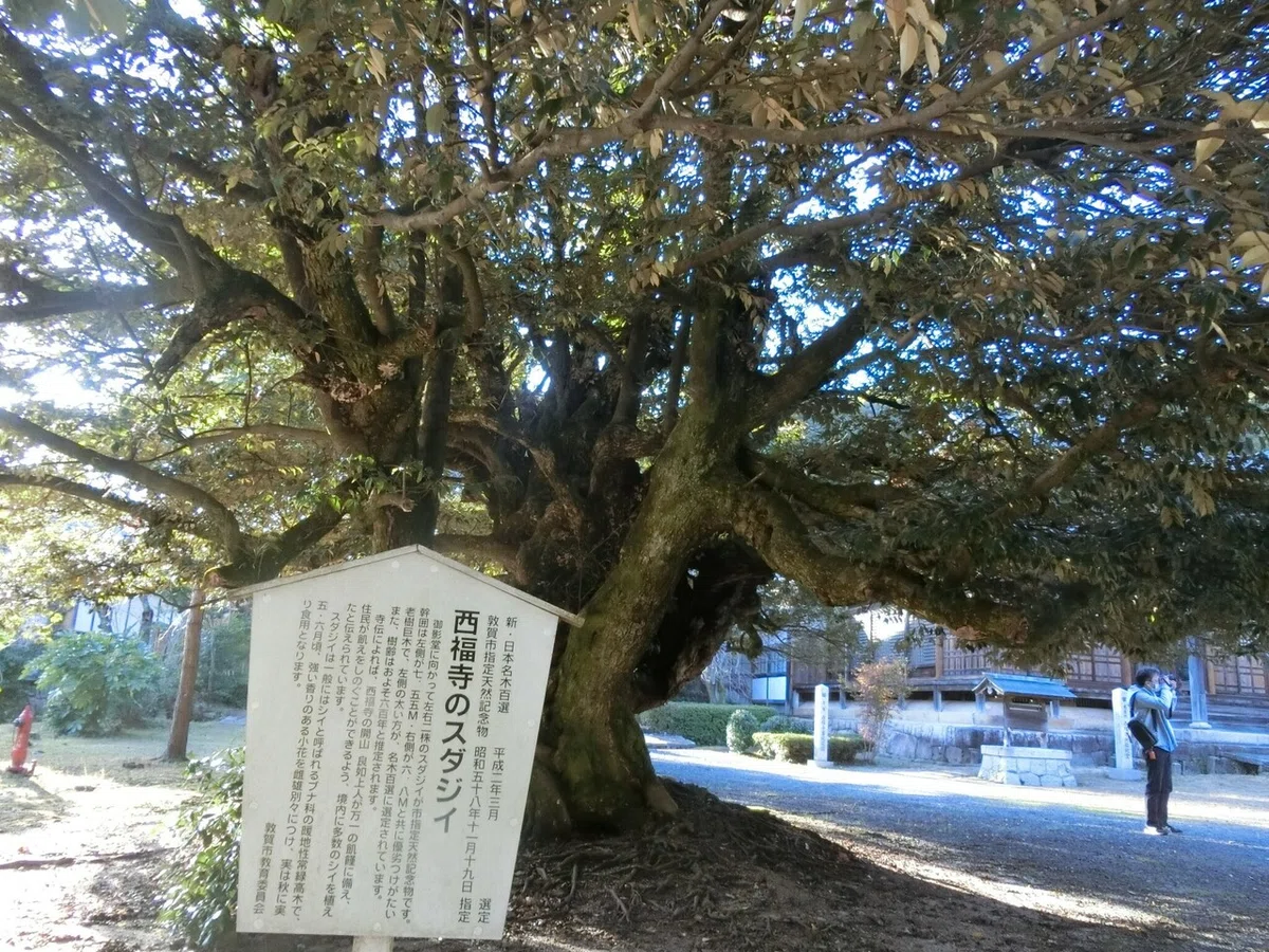 画像59
