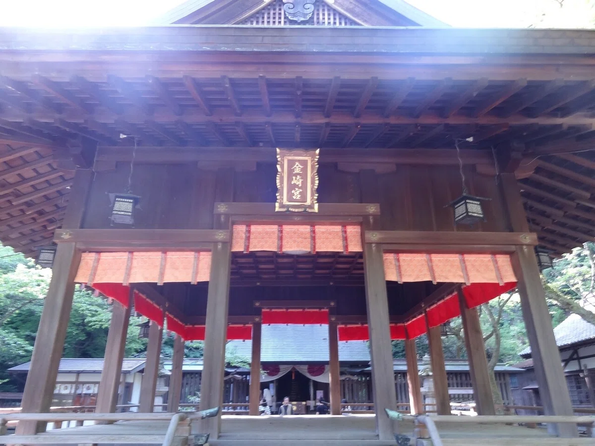 画像4