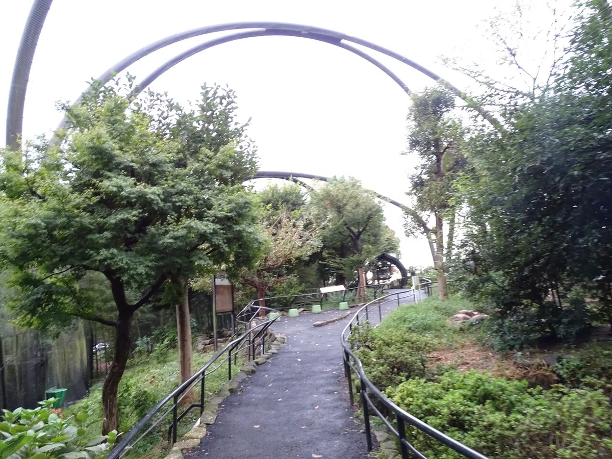 画像166