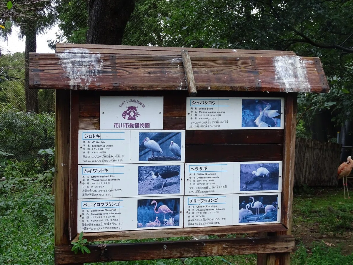 画像167