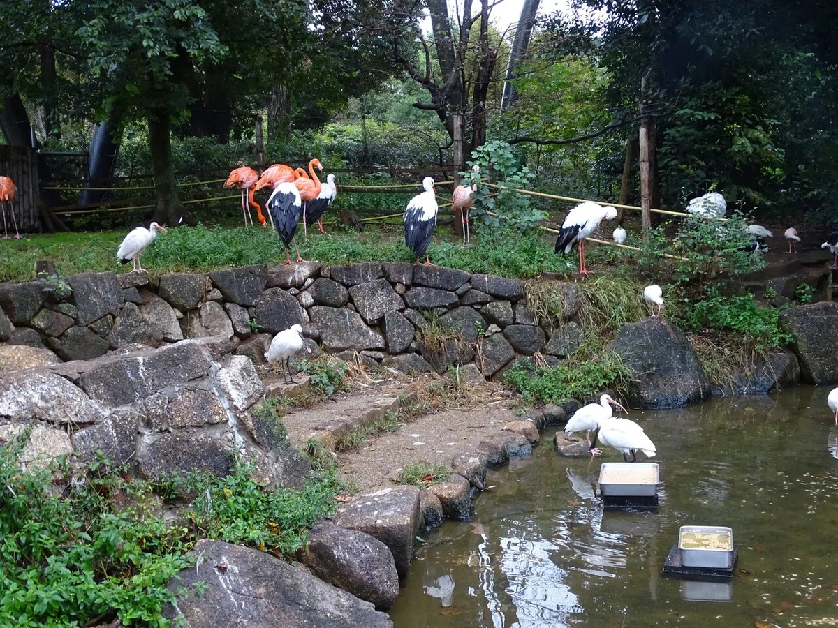 画像171