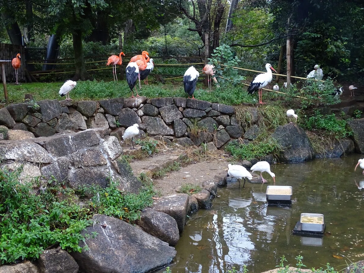 画像172