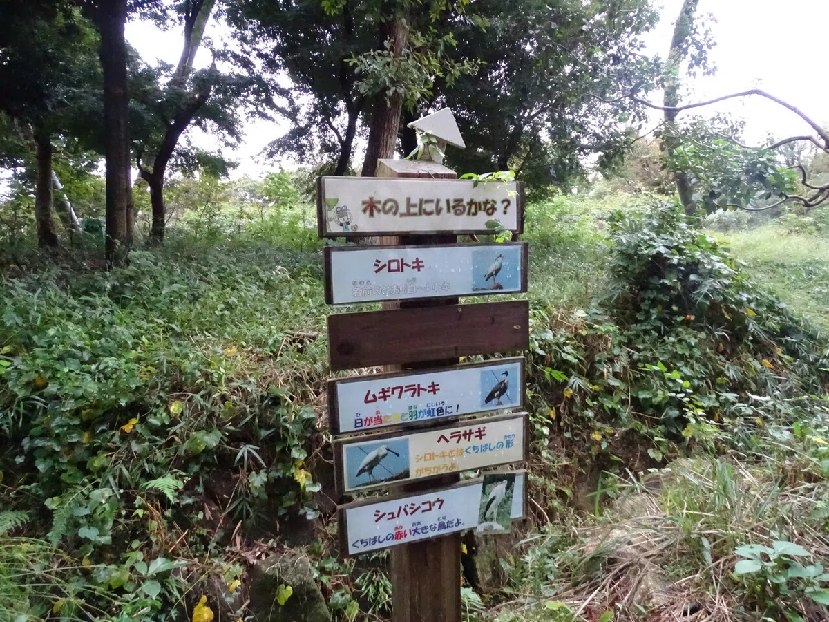 画像178