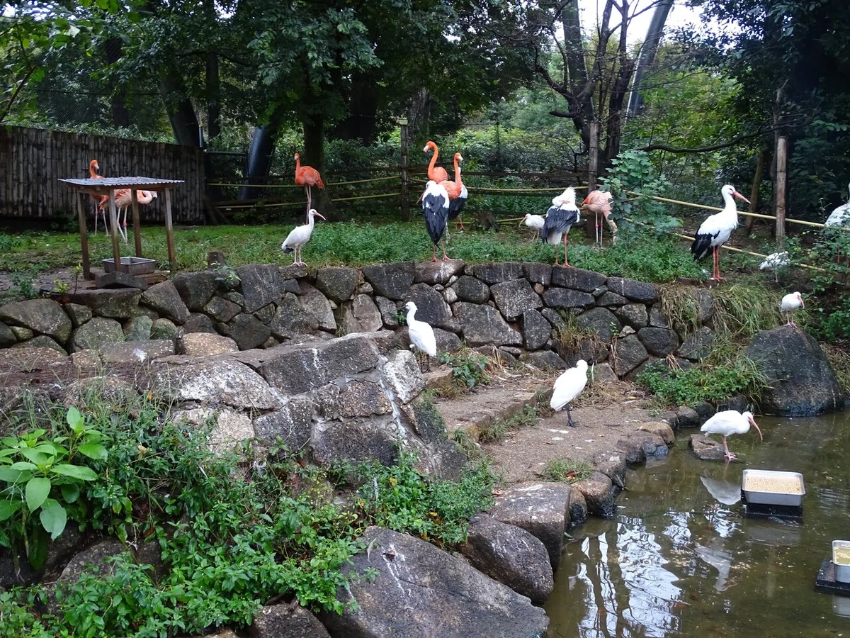 画像174