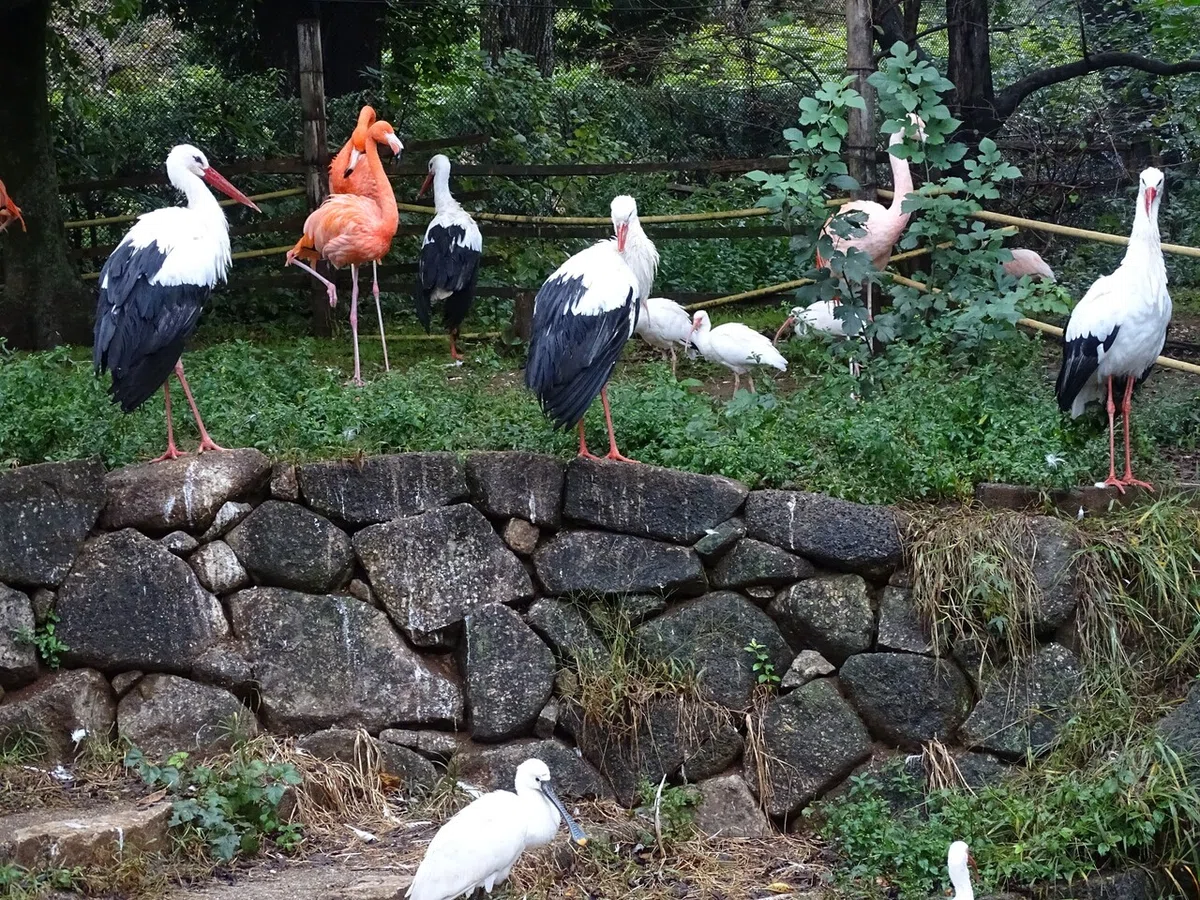 画像176