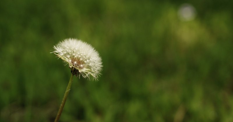 私たちは「痛み」と向き合えているか（占部まり）