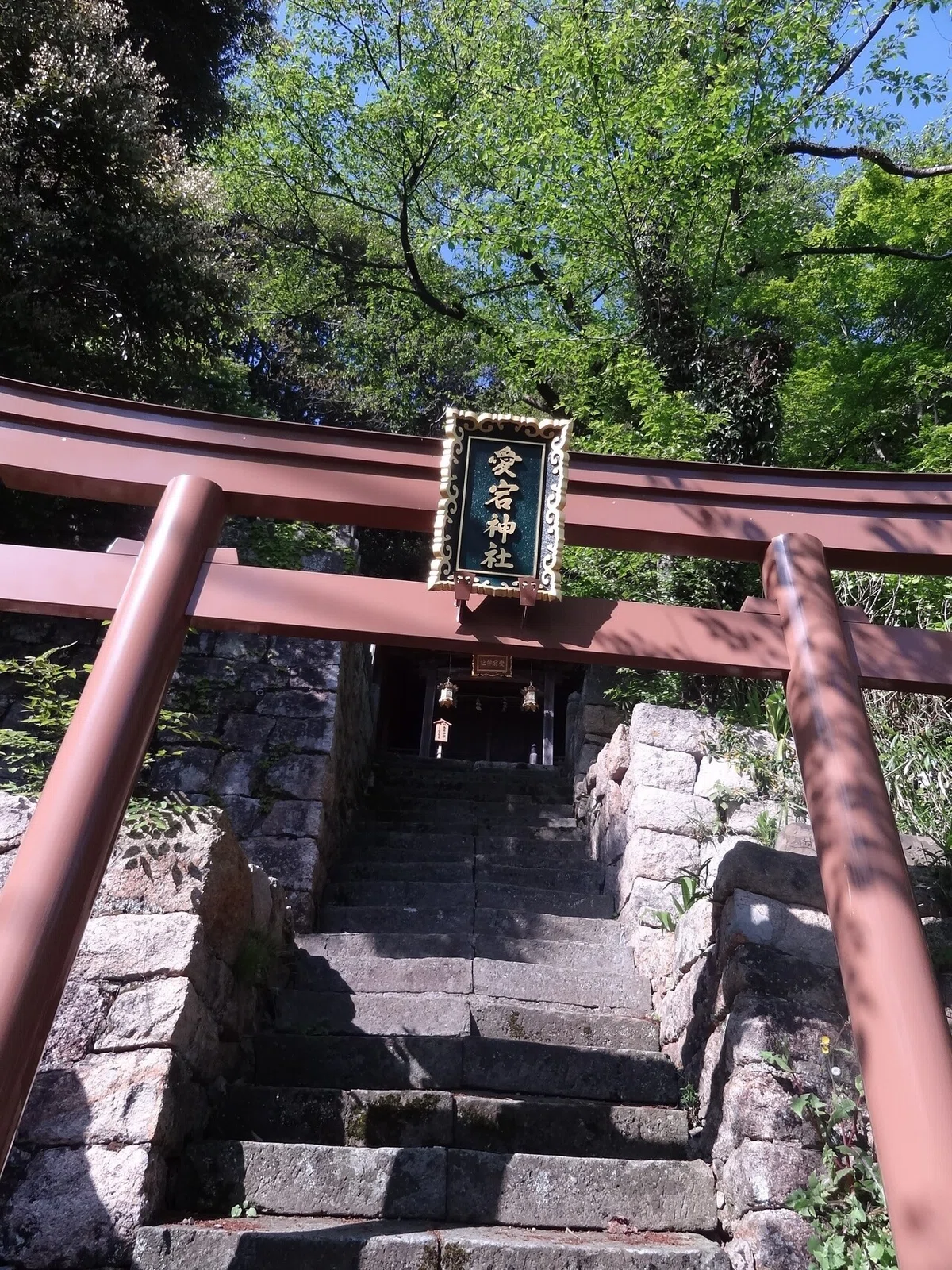 画像9