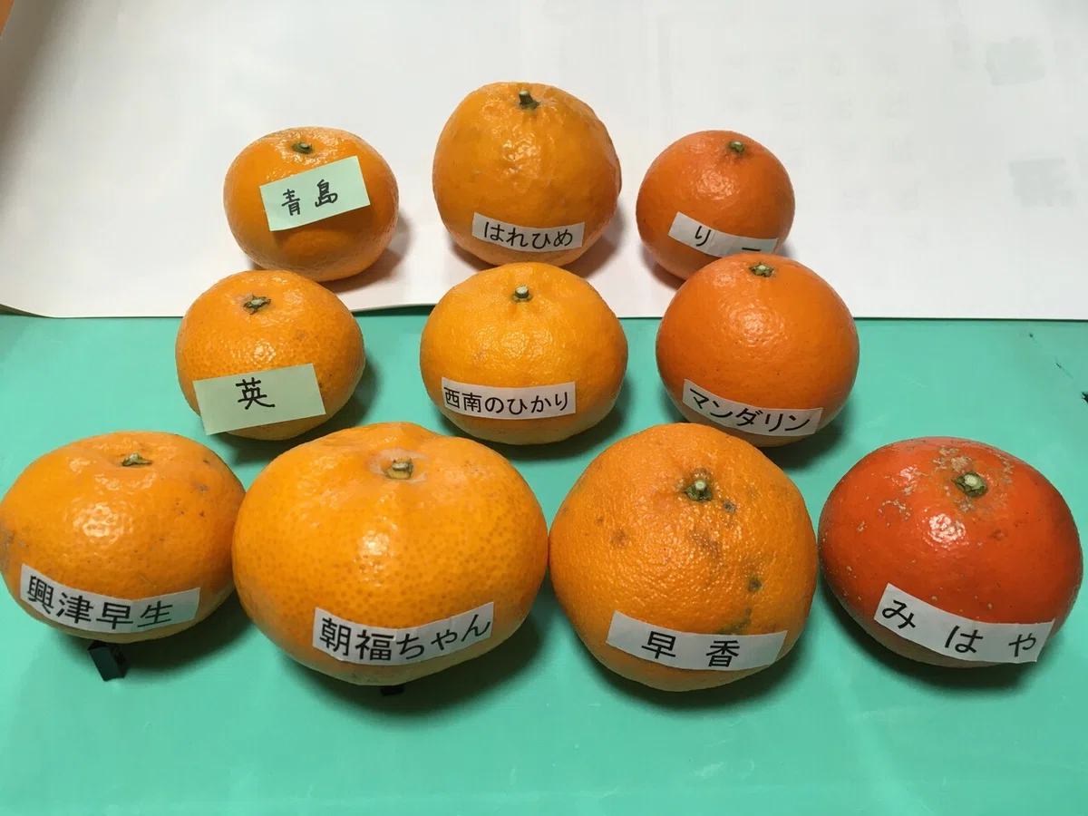 画像3