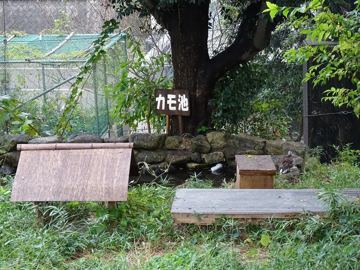 画像188