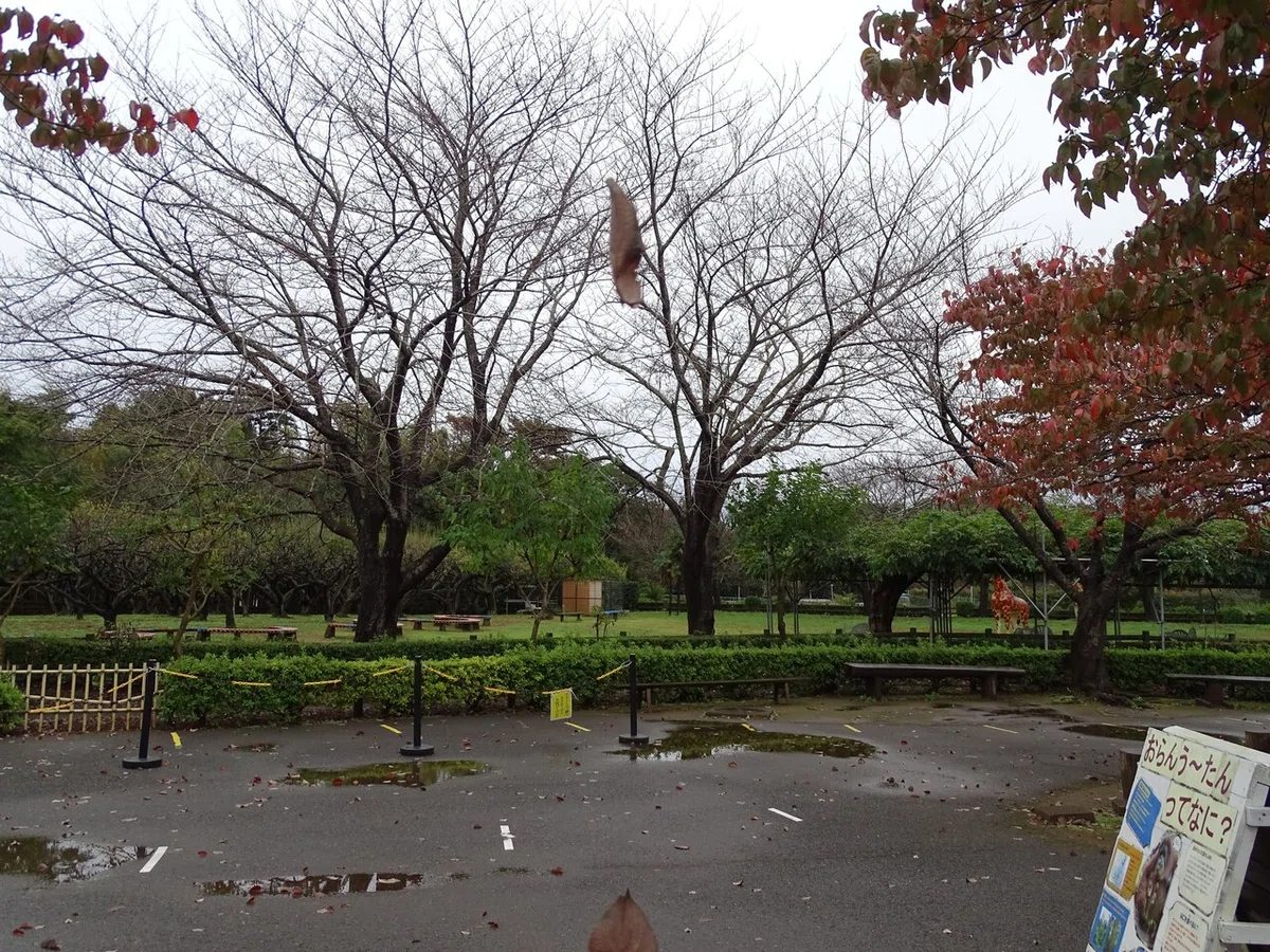 画像183