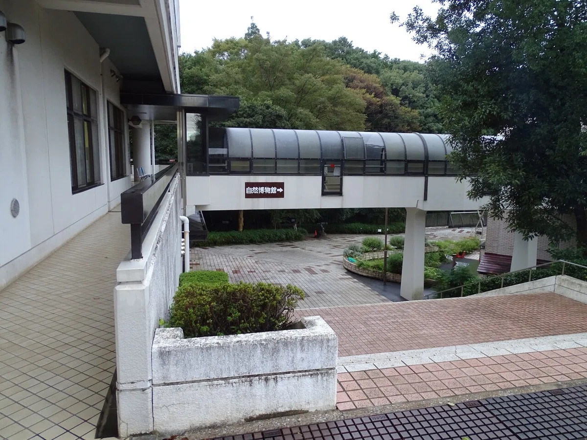 画像195
