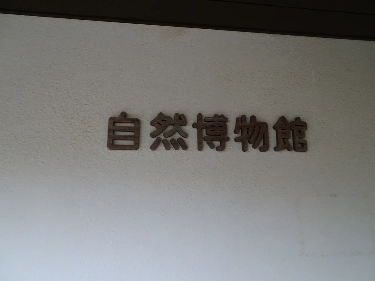 画像197