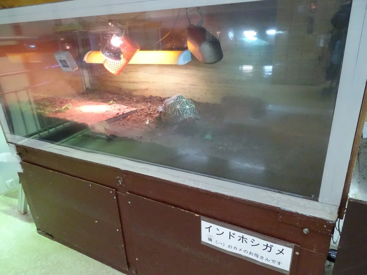 画像201