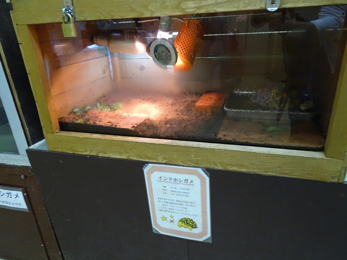 画像200