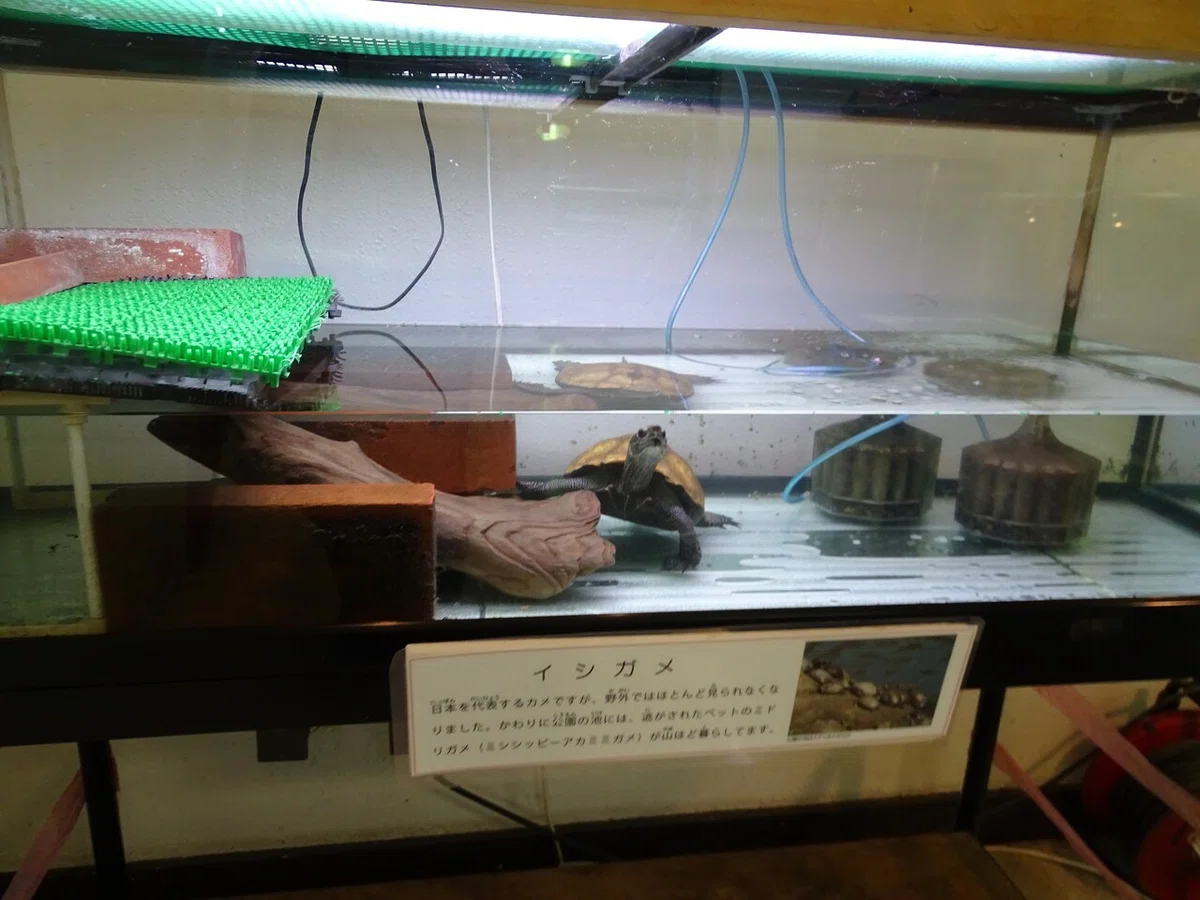 画像207