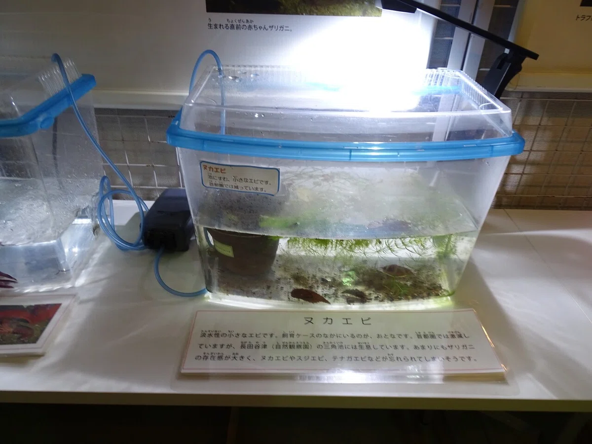 画像211
