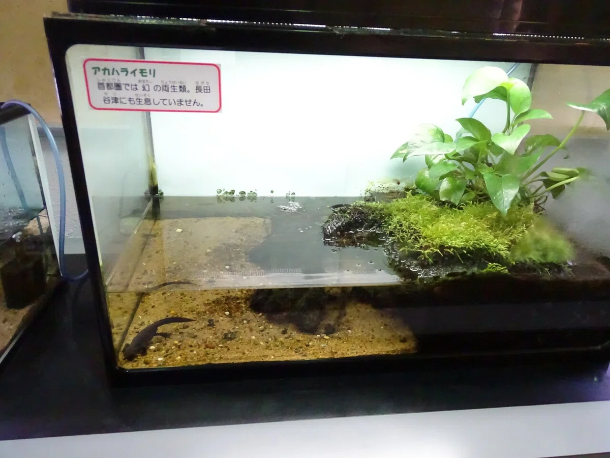 画像229