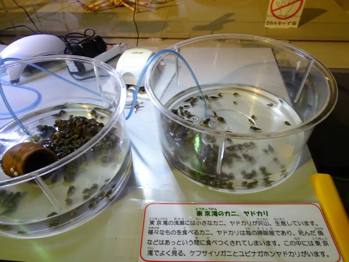 画像216