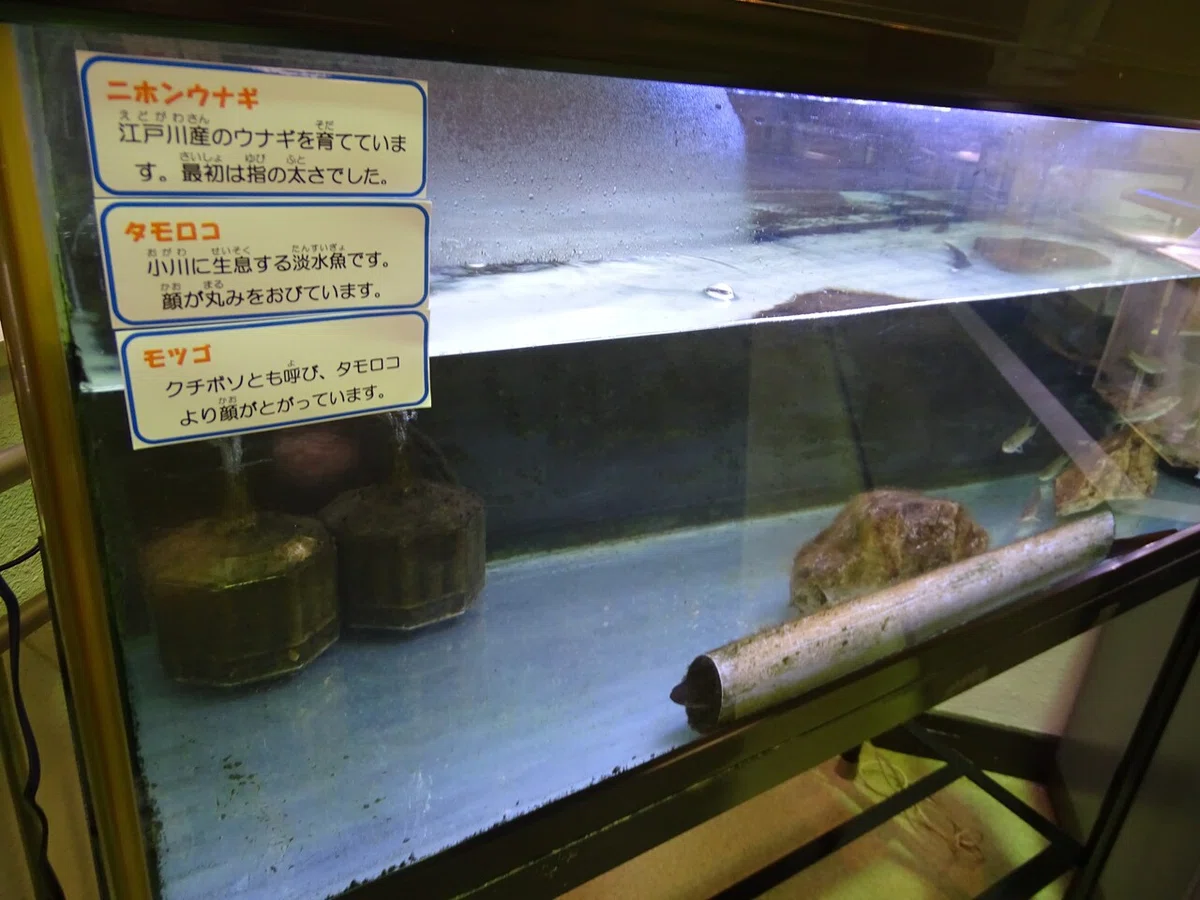 画像227