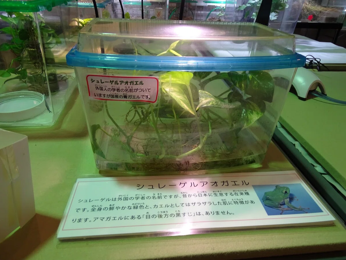 画像219