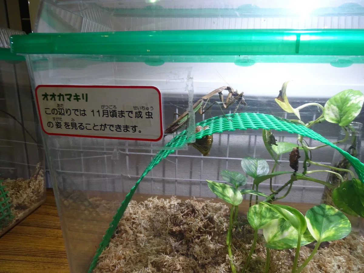 画像214