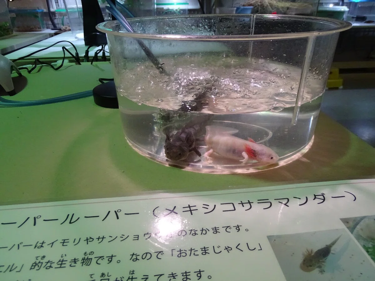 画像220