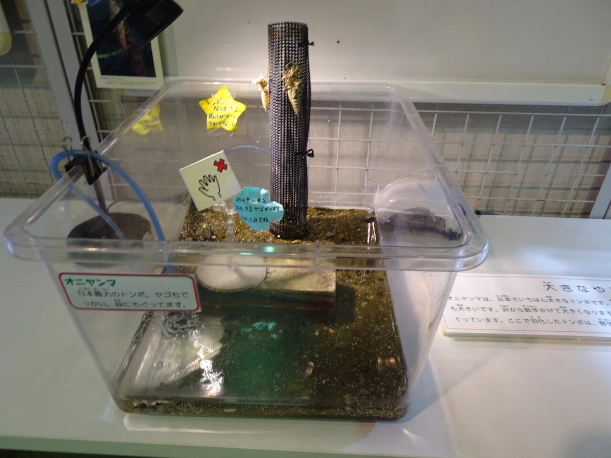 画像210