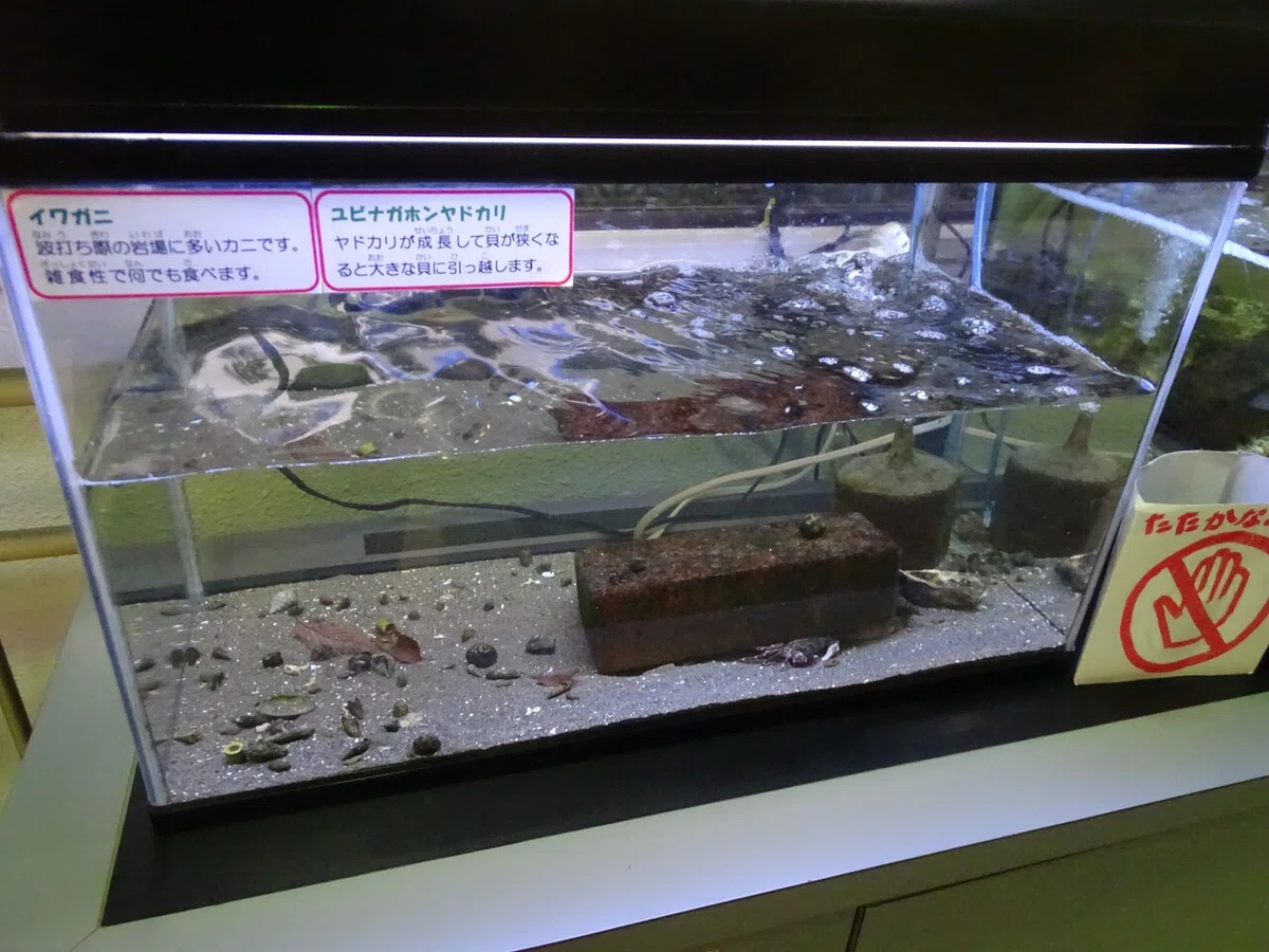 画像225