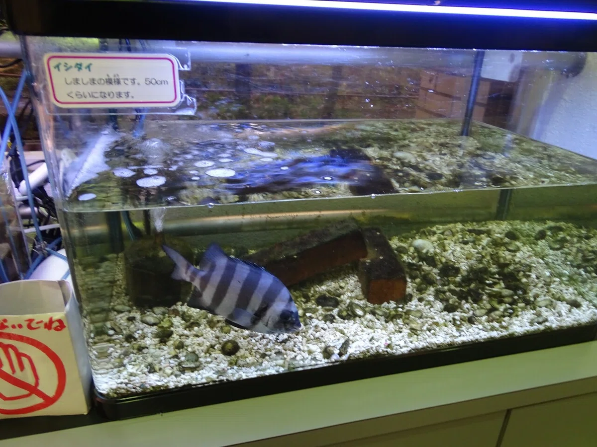画像226