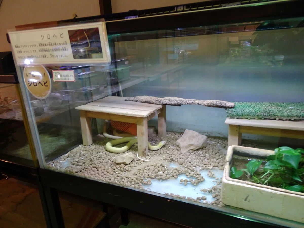 画像215