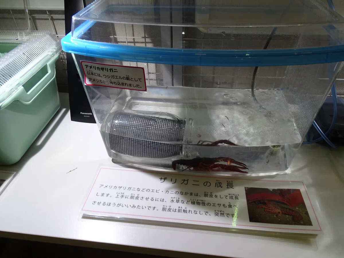 画像212
