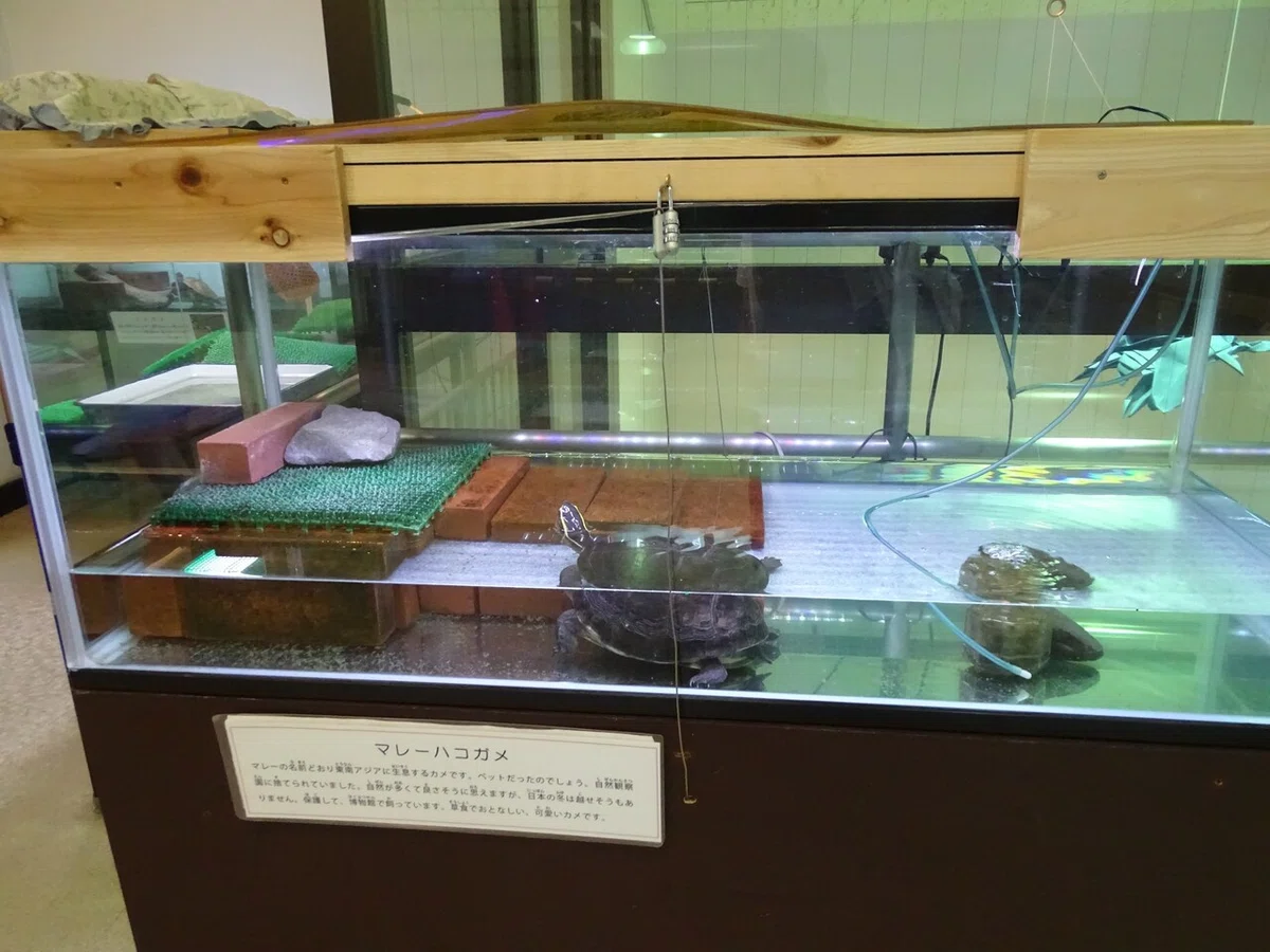画像204