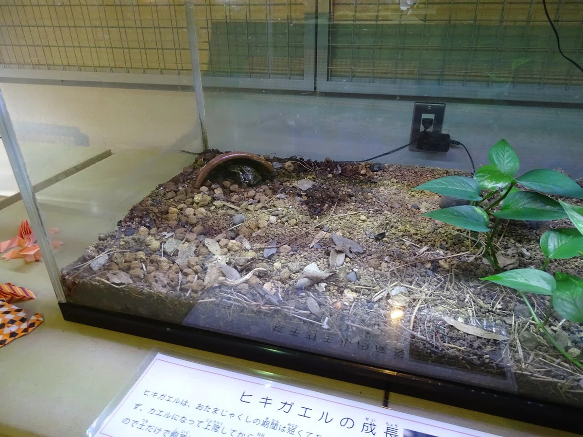 画像222