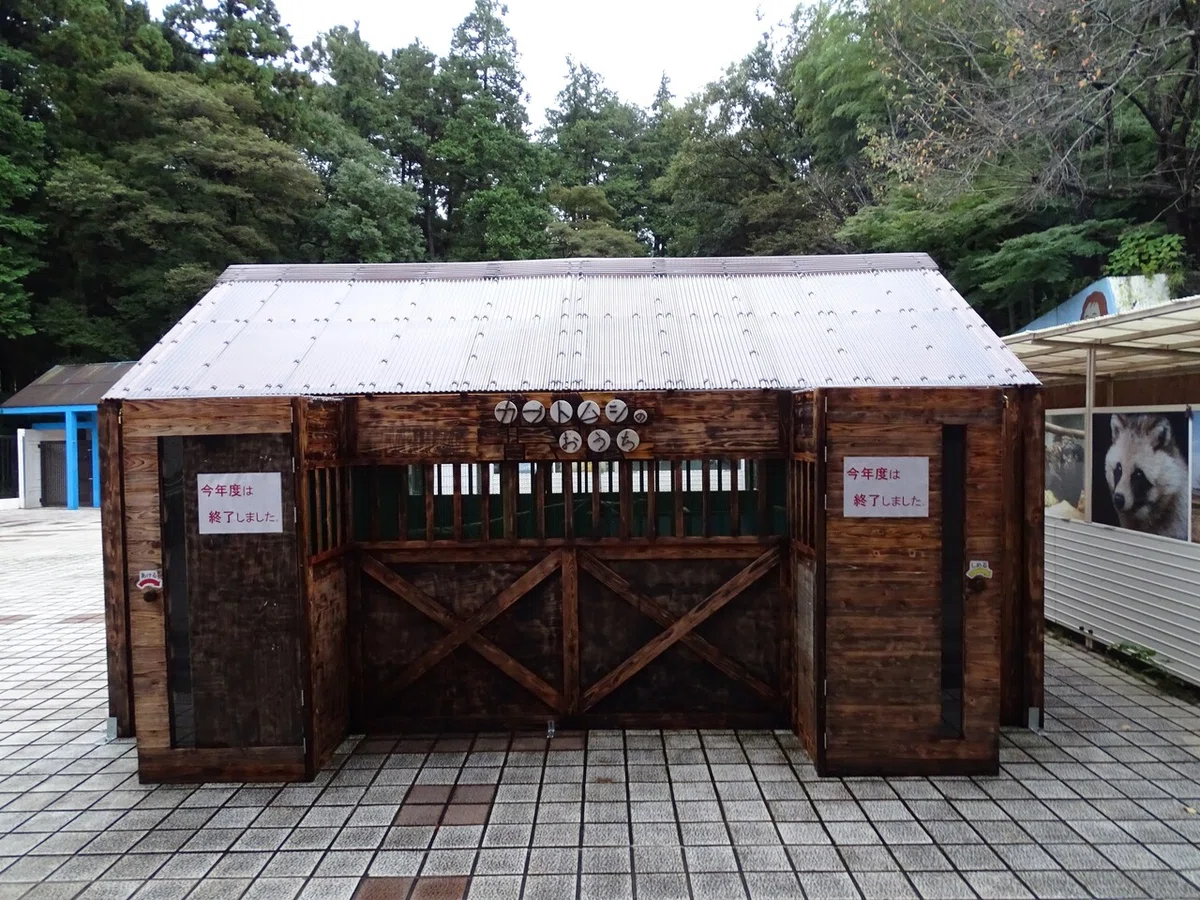 画像231