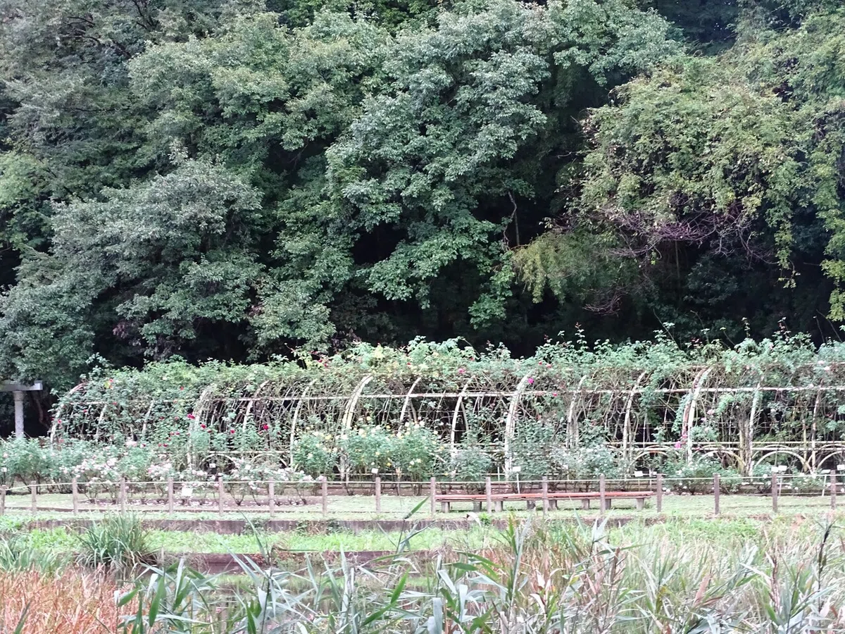 画像232