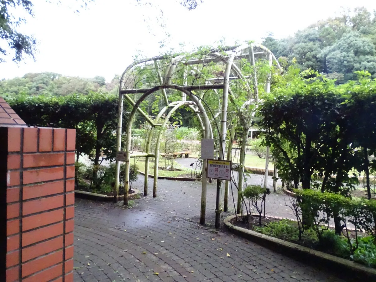 画像234