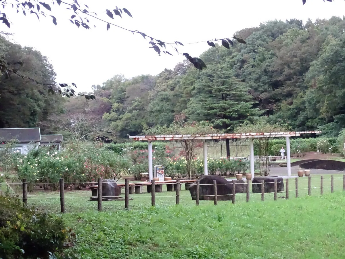 画像233