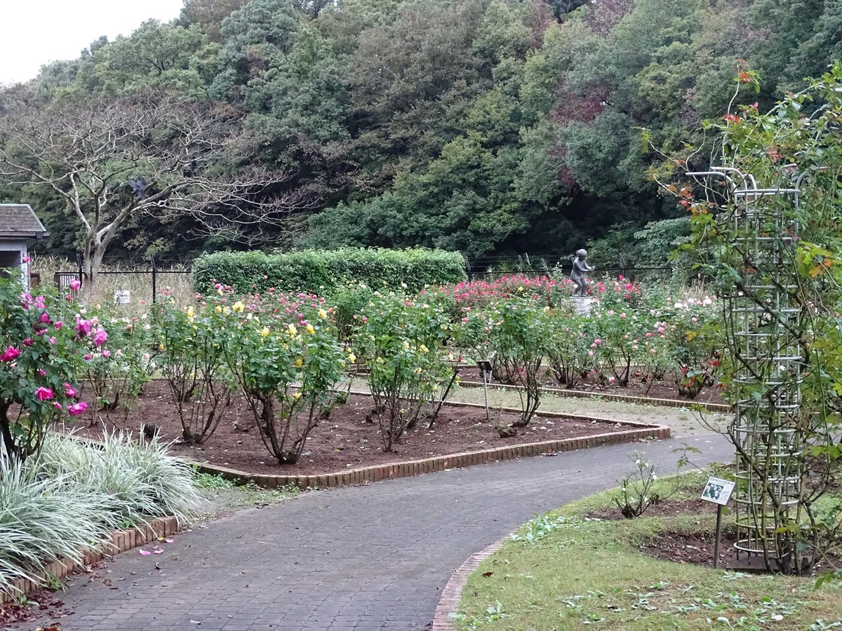 画像235