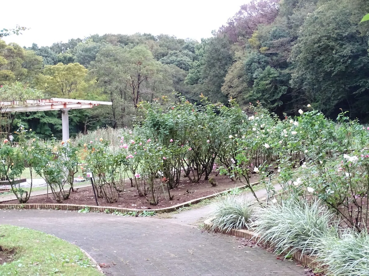 画像236