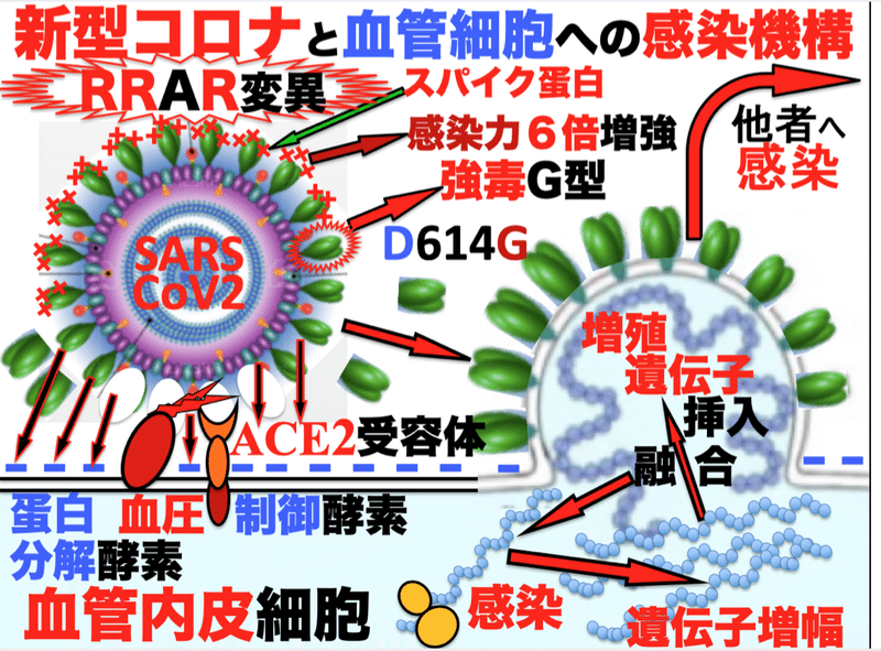 スクリーンショット 2022-01-22 15.15.53