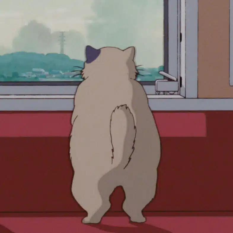 弓