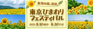 東京ひまわりフェスティバル6