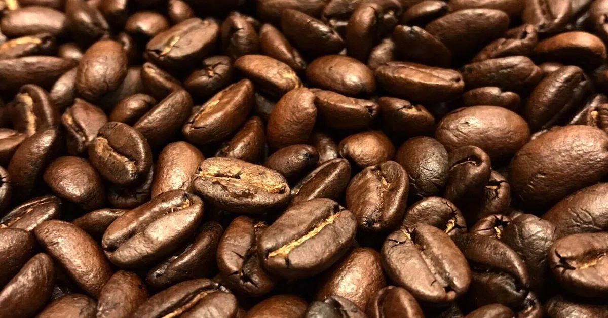 なぜユニオンサンプルロースターなのか｜idenz Coffee Roaster