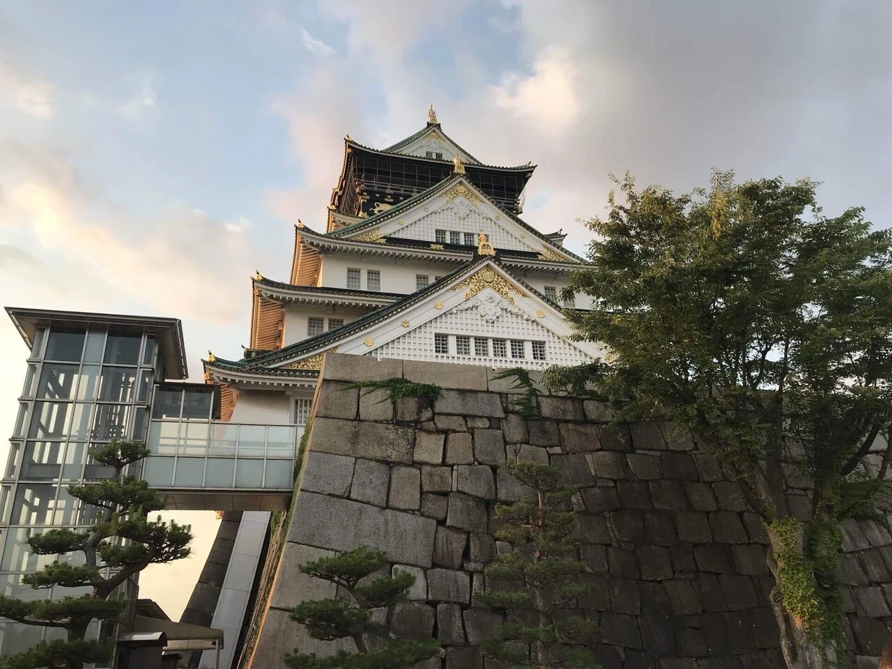 河童を探して 大阪府｜河童行政書士