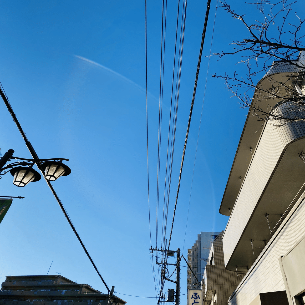 重症心身障害児の放課後デイサービス 障害の重い子と私たちの世界を繋ぐ関わり りょーこ グラレコ 理学療法士 Note